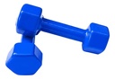 DUMBBELL 3 KG 