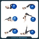 PELOTA ESPERODINAMIA 